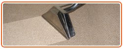 Alvin tx carpet cleaning service professional carpet cleaners